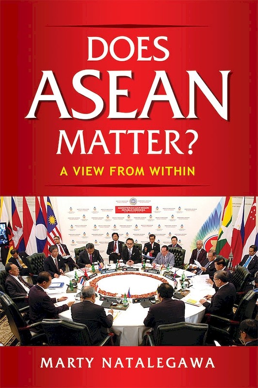 Does ASEAN Matter? A View from Within book cover